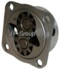 VAG 311115107AK Oil Pump